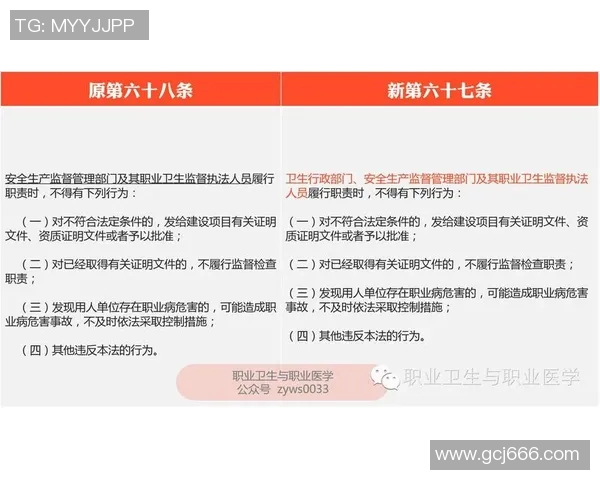 成都篮球队配合分析：战术执行与团队默契的深度对比探讨