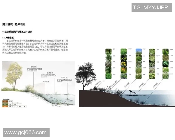 岗山绿雉与山形的生态对比探讨与保护策略研究