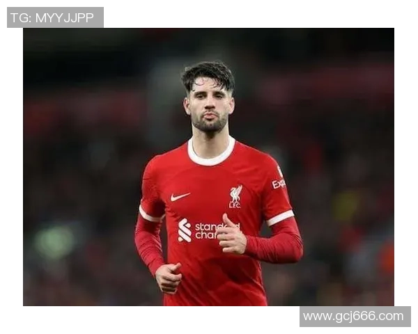 索博斯洛伊的魅力探秘与历史文化价值的深度剖析