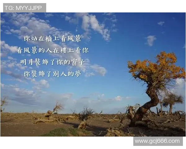 陈娜专访：从初学者到攀岩高手的心路历程与成长故事