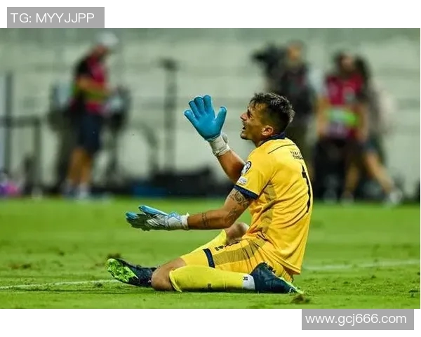 北爱尔兰与挪威足球对决比分揭晓精彩瞬间回顾